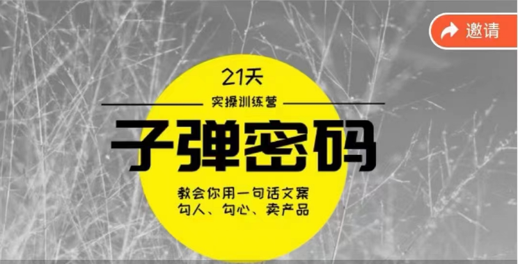 《子弹密码训练营》-用一句话文案勾人勾心卖产品，21天学到顶尖文案大师策略和技巧-路子网