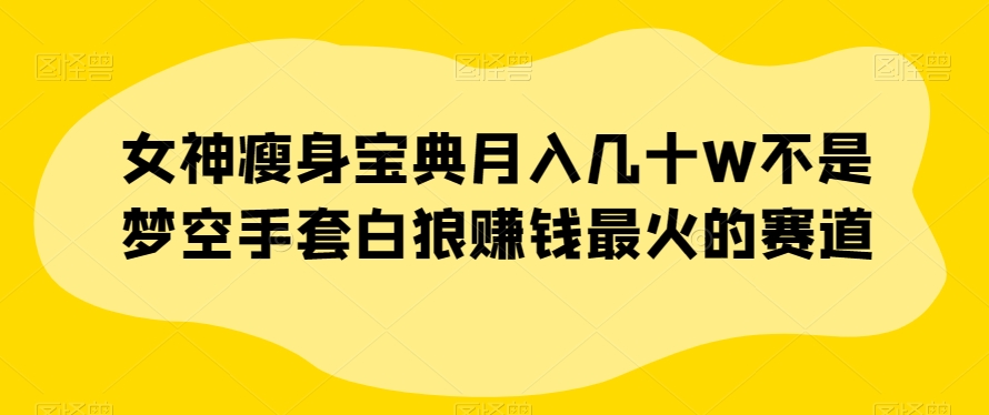 女神瘦身宝典月入几十W不是梦空手套白狼赚钱最火的赛道【揭秘】 - 搞薯条网-搞薯条网