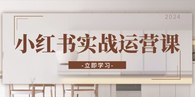 小红书实战运营课：从开通店铺到直播话术，打造爆款笔记与高效直播 - 搞薯条网-搞薯条网