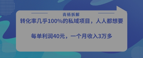 转化率最高的私域项目，每单利润40-50米，月入过1w - 搞薯条网-搞薯条网