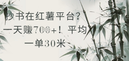 抄书在小红薯平台？平均一单30米，一天收益几张！ - 搞薯条网-搞薯条网