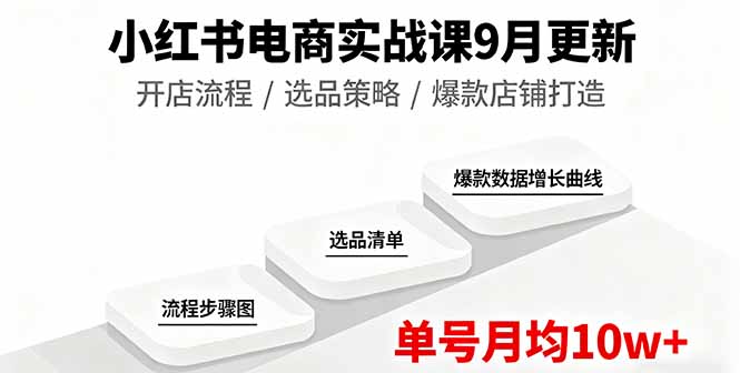 小红书电商实战课9月更新，开店流程/选品策略/爆款店铺打造，单号月均10w+ - 搞薯条网-搞薯条网
