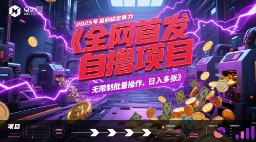 全网首发，2025年最新稳定暴力全自动自撸项目，无限制批量操作，日入多张【揭秘】 - 搞薯条网-搞薯条网