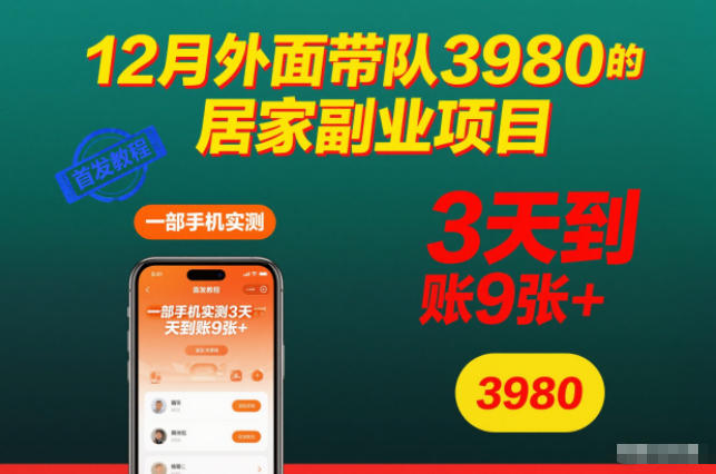 12月外面带队3980的居家副业项目,一部手机实测3天到账9张+,首发教程【揭秘】-搞薯条网