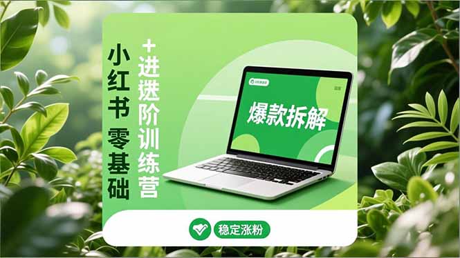 小红书零基础+高阶训练营:安全养号、爆款拆解、长效运营,实现稳定涨粉与变现-搞薯条网