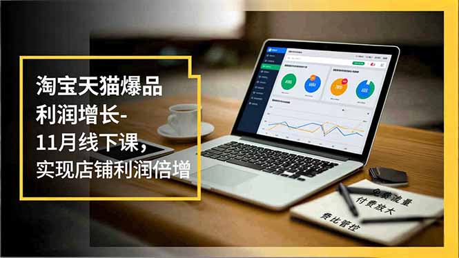 淘宝天猫爆品利润增长-11月线下课，免费流量、付费放大、费比管控，实现店铺利润倍增-搞薯条网
