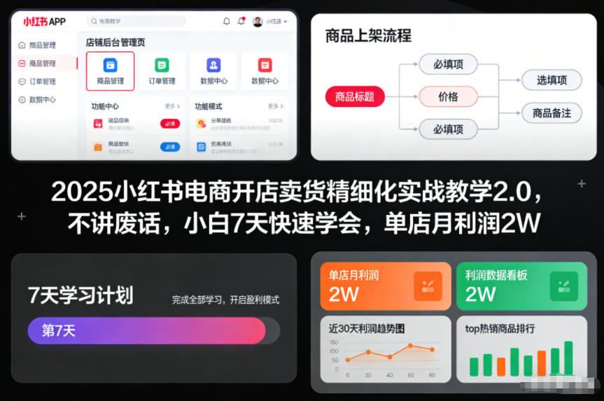 2025小红书电商开店卖货精细化实战教学2.0，不讲废话，小白7天快速学会，单店月利润2W-搞薯条网