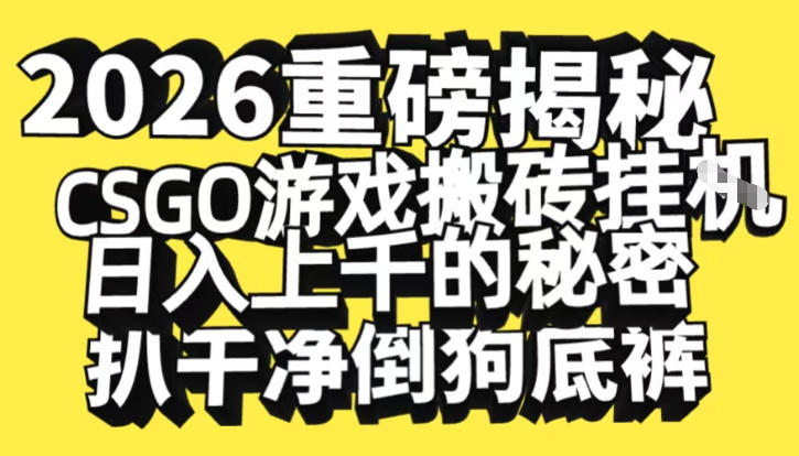 2026开年重磅解密，CSGO游戏搬砖挂G日入1k+的秘密，把倒狗的底裤扒干【揭秘】-搞薯条网