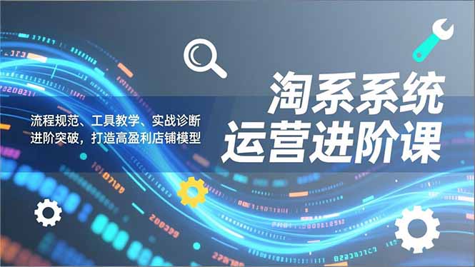 淘系系统运营进阶课2.0，流程规范、工具教学、实战诊断，进阶突破，打造高盈利店铺模型-搞薯条网
