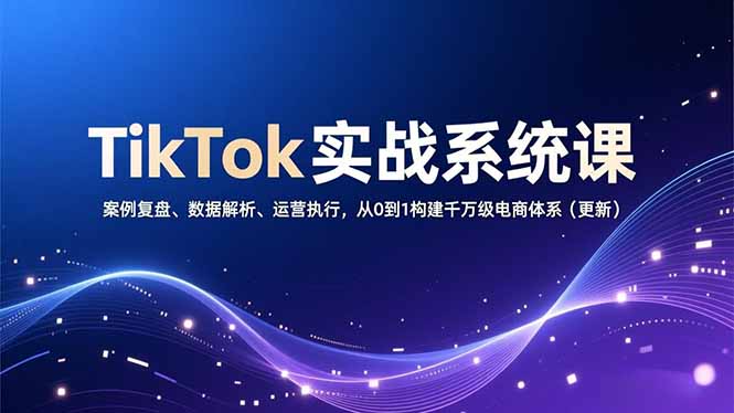 TikTok实战系统课，案例复盘、数据解析、运营执行，从0到1构建千万级电商体系(更新-搞薯条网