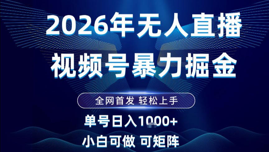 2026最新视频号无人直播掘金,全网首发,小白可以玩,长期稳定日入1k+【揭秘】-搞薯条网