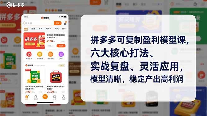 拼多多可复制盈利模型课，六大核心打法、实战复盘、灵活应用，模型清晰，稳定产出高利润-搞薯条网