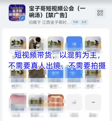 宝子哥头部团队短视频带货，以混剪为主，不需要真人出镜，不需要拍摄【更新12月】-搞薯条网