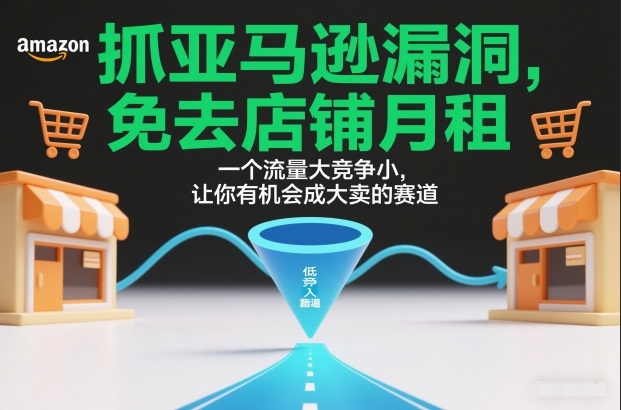 抓亚马逊漏洞,免去店铺月租,一个流量大竞争小,让你有机会成大卖的赛道-搞薯条网