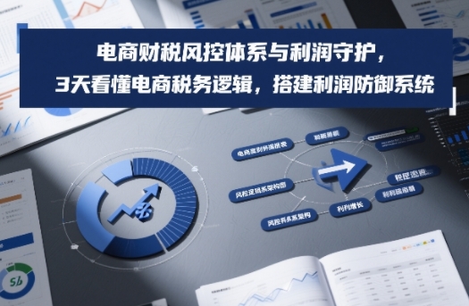 电商财税风控体系与利润守护，3天看懂电商税务逻辑，搭建利润防御系统-搞薯条网