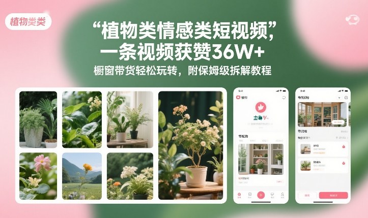 植物类情感类短视频，一条视频获赞36W+，橱窗带货轻松玩转，附保姆级拆解教程-搞薯条网