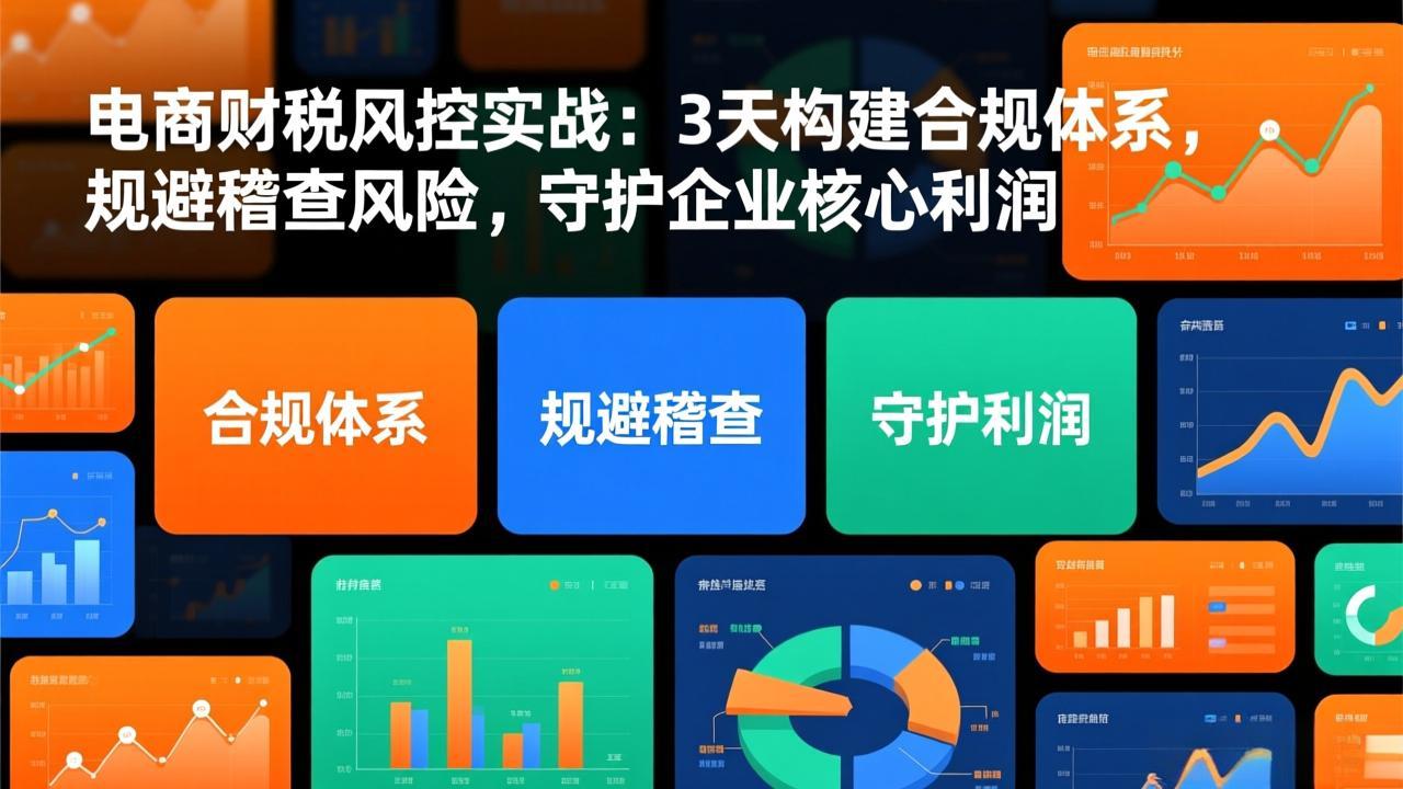 电商财税风控实战:3天构建合规体系,规避稽查风险,守护企业核心利润-搞薯条网