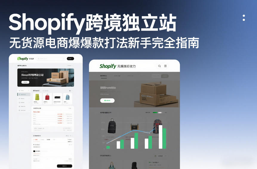 Shopify跨境独立站无货源电商爆款打法新手完全指南-搞薯条网