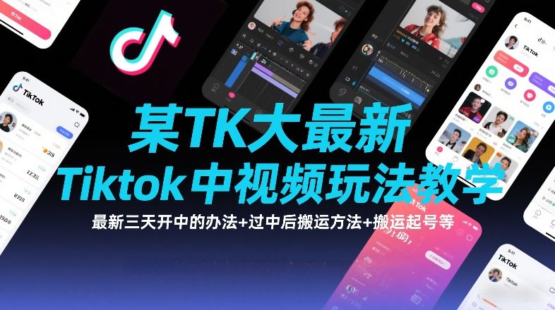 某TK大佬最新Tiktok中视频玩法教学,最新三天开中的办法+过中后搬运方法+搬运起号等-搞薯条网