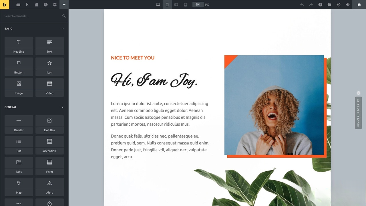 WordPress主题Bricks v1.9 破解版-搞薯条网