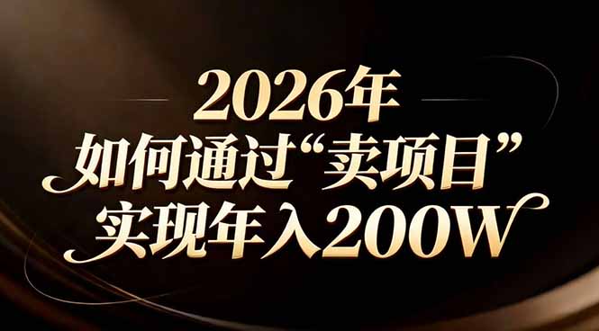 站在2026年的十字路口：一个普通人如何通过卖项目实现年入200万-搞薯条网