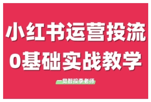 小红书运营投流,小红书广告投放从0到1的实战课,学完即可开始投放(更新26年)-搞薯条网