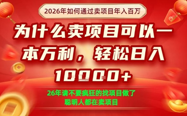 一单净利润1K+，26年想年入100个W，死磕卖项目就够了【揭秘】-搞薯条网