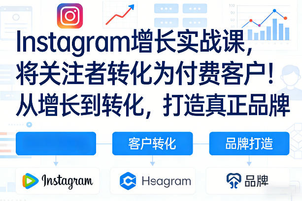 Instagram增长实战课，将关注者转化为付费客户！从增长到转化，打造真正品牌(双语字幕)-搞薯条网