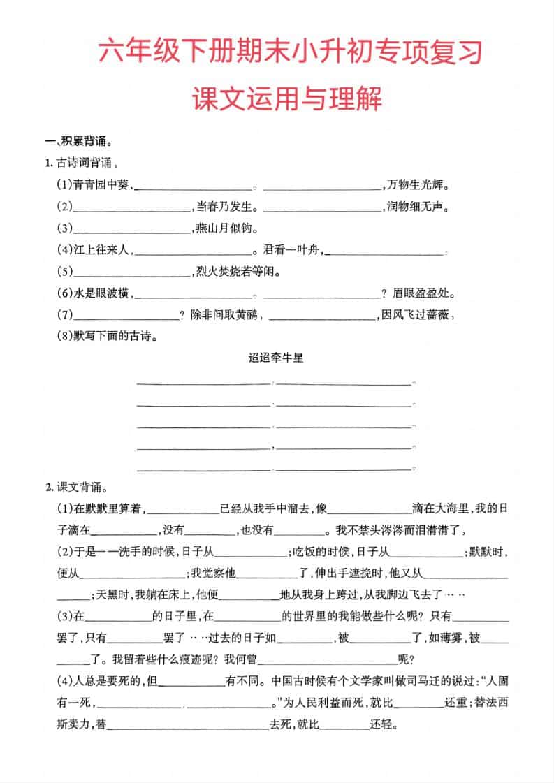 六年级下语文小升初课文运用与理解专项练习-搞薯条网