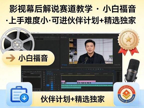 某大佬的影视幕后解说赛道教学，小白福音，上手难度小，可进伙伴计划+精选独家-搞薯条网