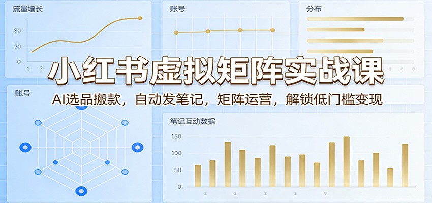 小红书虚拟矩阵实战课:AI选品搬款,自动发笔记,矩阵运营,解锁低门槛变现-搞薯条网
