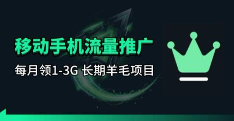手机流量领取推广_每月一轮，刚需类的长期项目-搞薯条网