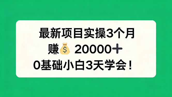 最新项目实操3个月，赚钱20000+，0基础小白3天学会！-搞薯条网