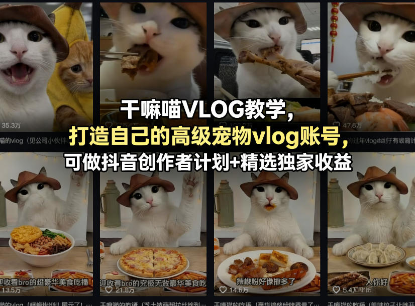 干嘛喵VLOG教学，打造自己的高级宠物vlog账号，可做抖音创作者计划+精选独家收益-搞薯条网