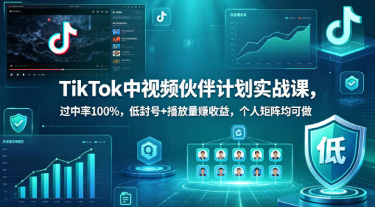 TikTok中视频伙伴计划实战课，过中率100%，低封号+播放量賺收益，个人矩阵均可做-搞薯条网