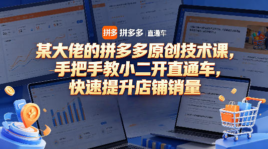 某大佬的拼多多原创技术课，手把手教小二开直通车，快速提升店铺销量-搞薯条网