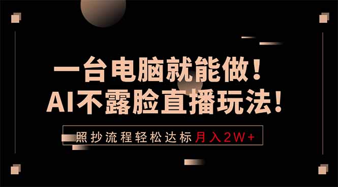 一台电脑就能做！AI不露脸直播玩法，照抄流程轻松达标月入2W+-搞薯条网