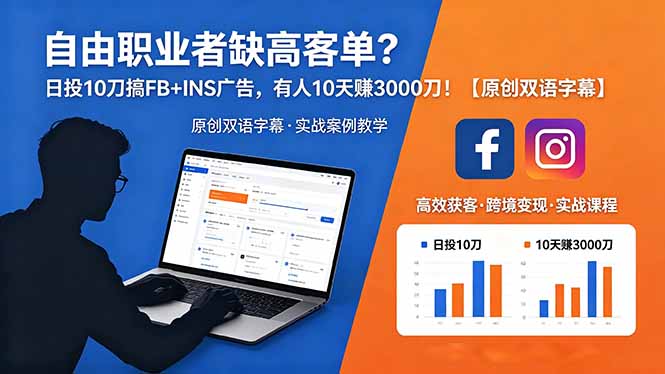 自由职业者缺高客单？日投 10 刀搞 FB+INS 广告，有人 10 天赚 3000 刀！【原创双语字幕】-搞薯条网