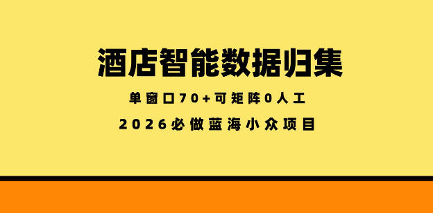 酒店智能数据归集，小众蓝海已经稳定半年之久，单窗口70+零成本矩阵开干【揭秘】-搞薯条网