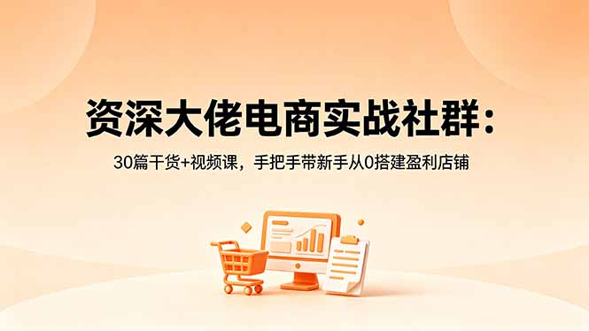 资深大佬电商实战社群：30篇干货+视频课，手把手带新手从0搭建盈利店铺-搞薯条网