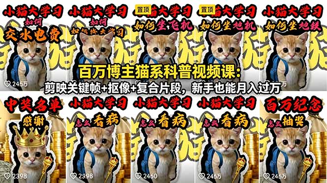 百万博主猫系科普视频课：剪映关键帧+抠像+复合片段，新手也能月入过万-搞薯条网