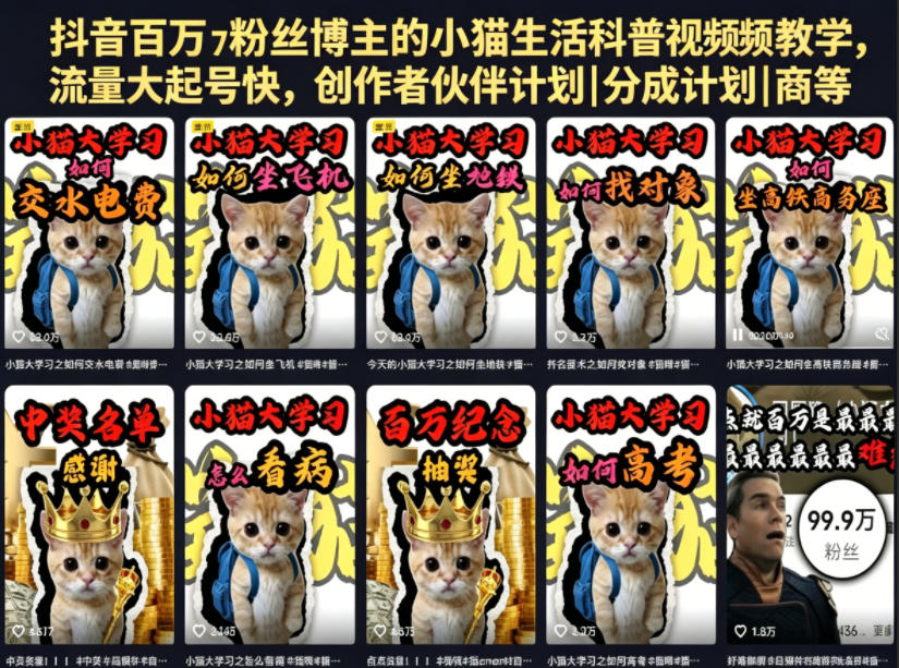 抖音百万粉丝博主的小猫生活科普视频教学,流量大起号快,创作者伙伴计划|分成计划|商单|收徒等-搞薯条网