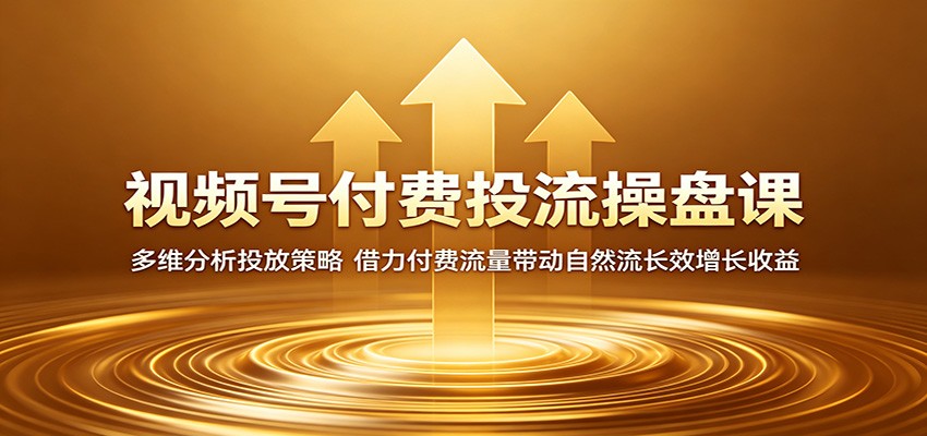 视频号付费投流操盘课：多维分析投放策略，借力付费流量带动自然流长效增长收益-搞薯条网
