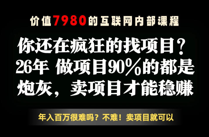 26年请不要疯狂的找项目了，卖项目远比你想象的暴利，你也可以月入10W+【揭秘】-搞薯条网