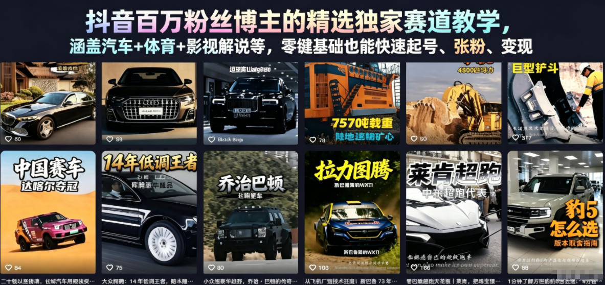 抖音百万粉丝博主的精选独家赛道教学，涵盖汽车+体育+影视解说等，零基础也能快速起号、涨粉、变现-搞薯条网