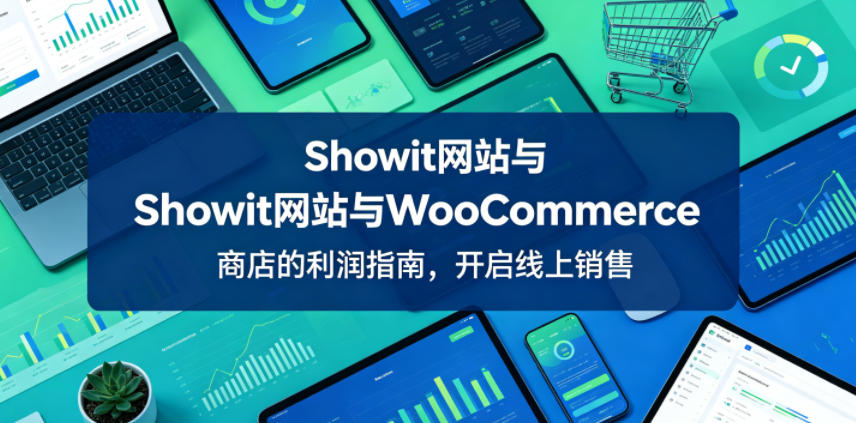 Showit网站与WooCommerce商店的利润指南，开启线上销售【原创双语字幕】-搞薯条网