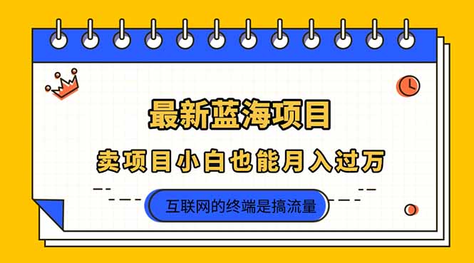 2025年最新蓝海项目，卖项目小白也能月入过万 - 搞薯条网-搞薯条网
