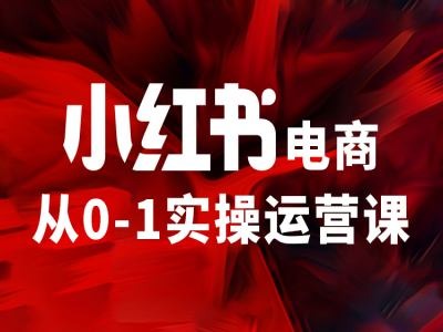 小红书电商从0-1实操运营课，让你从小白到精英 - 搞薯条网-搞薯条网