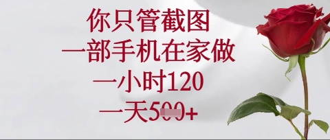 你只管截图，一部手机在家操作，一小时120.一天5张【揭秘】 - 搞薯条网-搞薯条网