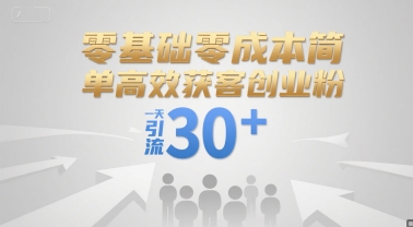 零基础零成本简单高效获客创业粉，一天引流30+ - 搞薯条网-搞薯条网